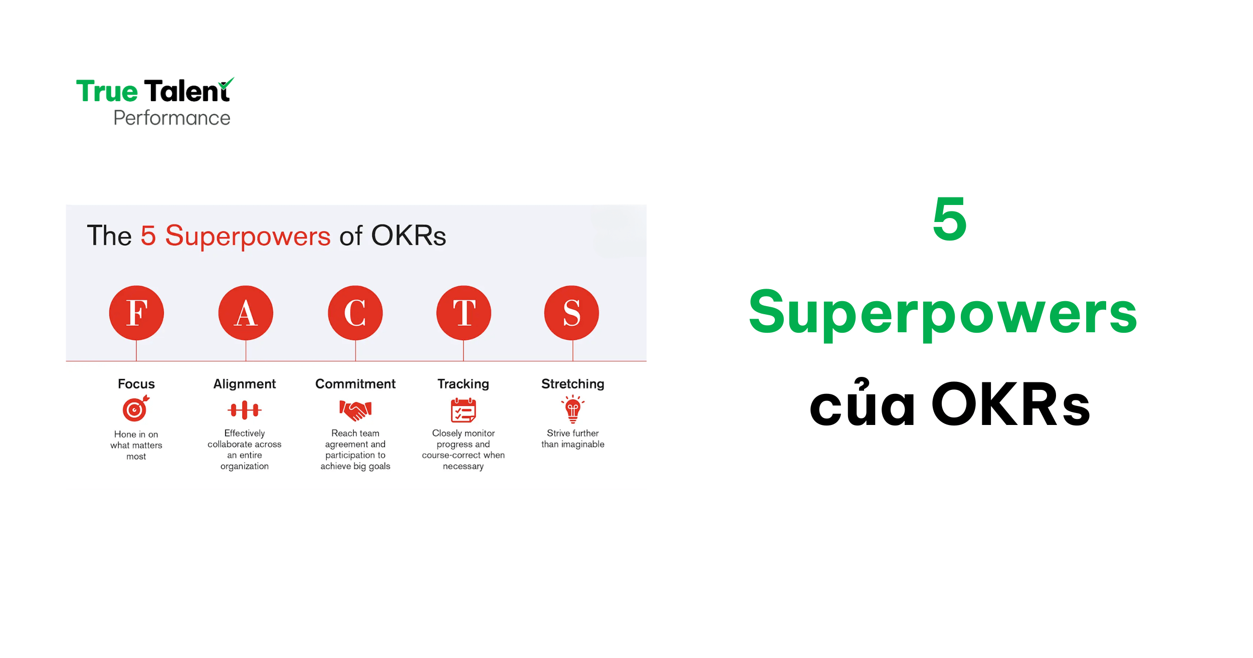 Tiêu chí đánh giá hiệu suất: hướng dẫn chi tiết